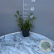 Achillea m. 'Paprika' GM 2,0L