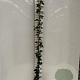 Hedera hibernica 175-200 cm 3,0L met stok