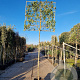 Photinia fraseri 'Red Robin' 200 cm stam container leiboom