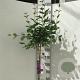 Syringa Dark Purple 120 cm stam 7,5L