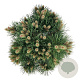 Pinus nigra 'Nana' 40-50 cm 15L