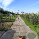 Malus d. 'Rosette' 120-150 cm 7,5L