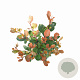 Photinia fraseri 'Little Red Robin' 20-30 cm 2,0L