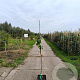 Pyrus c. 'Beurré Hardy' 125-150 cm 10L