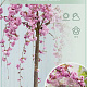 Prunus 'Kiku-shidare-zakura' 150 cm stam 10L