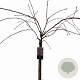Prunus 'Kiku-shidare-zakura' 150 cm stam 10L
