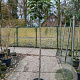 Photinia fraseri 'Red Robin' 150 cm stam 25L 8-10