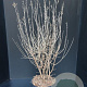 Syringa Dark Purple 60-80 cm 7,5L