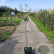 Pyrus c. 'Gieser Wildeman' 100-125 cm 10L