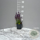 Salvia nem. 'Blaukönigin' GM 2,0L