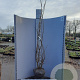 Viburnum opulus 175-200 cm met kluit