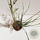 Calamagrostis acut. 'Overdam' gm 4,0L