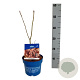 Acer North Wind 40-50 cm 3,0L