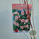 Ceanothus pallidus 'Marie Simon' 60-70 cm 2,5L