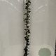 Hedera hibernica 175-200 cm 3,0L met stok