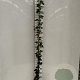 Hedera hibernica 175-200 cm 3,0L met stok