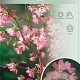Prunus nipponica 'Ruby' 90 cm stam 7,5L