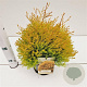 Thuja occ. 'Rheingold' 20-30 cm 2,5L