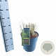 Miscanthus sin. 'Ferner Osten' 60-100 cm 12L
