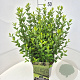 Ligustrum ovalifolium 40-50 cm 10L