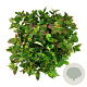 Hydrangea s. Magic Pillow 40-50 cm 14L