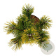 Pinus mugo 'Winter Gold' 25-30 cm 6,5L