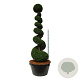 Taxus baccata 300-350 cm cont. 500L spiraal