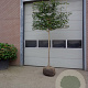 Carpinus betulus 18-20 HO draadkluit lei 150x120