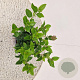 Viburnum tin. Lisarose 25-30 cm 2,5L
