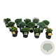 Mixlaag veredelde coniferen exclusief 25-30 cm