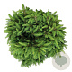 Picea a. 'Nidiformis' 40-50 cm 6L