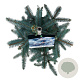 Picea pungens 'Fat Albert' 50-60 cm 6L