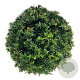 Taxus b. 'Höpken's Gigant' 30-35 cm 10L bol