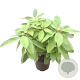 Rhododendron 'Anna Rose Whitney' 30-40 cm 5,0L struik