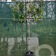 Photinia fraseri 'Red Robin' 180 cm stam container 8-10
