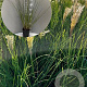 Cortaderia s. 'Pumila' GM 2,0L