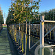 Prunus l. 'Novita' 10-12 HO container 180 cm stam leiboom