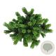 Pinus mugo 'Mumpitz' 30-40 cm 7,5L