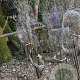 Acer griseum 200-250 cm draadkluit meerstammig