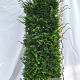 Taxus baccata 175-200 cm draadkluit extra