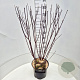 Cornus alba 'Kesselringii' 60-80 cm 10L