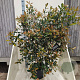Photinia fraseri Carré Rouge 125-150 cm 20L
