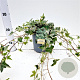 Hedera hel. 'Little Diamond' 30-40 cm 2,5L