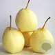 Pyrus bretschneideri 150-200 cm 10L
