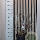 Hydrangea pan. Bonfire 40-50 cm 7,5L