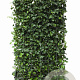 Hedera hibernica 180 hoog Haagelement 100Bx40D