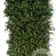 Picea abies 200 Hoog Haagelement 100Bx40D