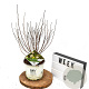 Physocarpus opulif. Tiny Wine Gold 40-60 cm 3,0L