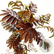 Albizia julibr. 'Evi's Pride' 125-150 cm 10L