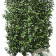 Prunus l. 'Angustifolia' 120 hoog Haagelement 100Bx40D